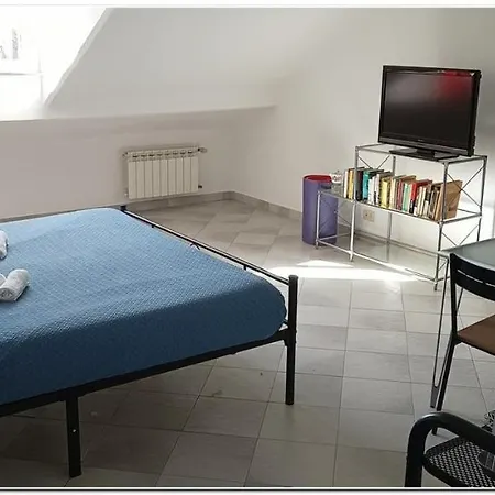 Apartamento Pulcino Furioso Magenta *